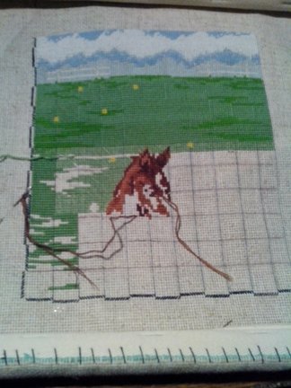 Процесс вышивки «На лугу» №28506