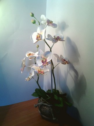 Что мы умеем кроме вышивки крестиком №29401