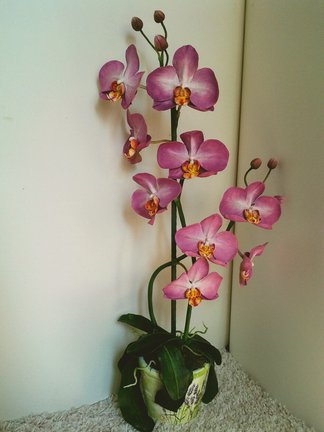 Что мы умеем кроме вышивки крестиком №29406