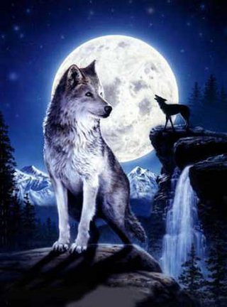 Волки (собираем картинки) №29487