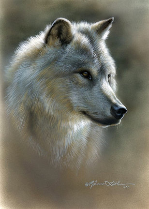 Волки (собираем картинки) №29523