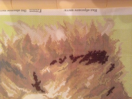 Котик по канве с нанесенным рисунком №29704