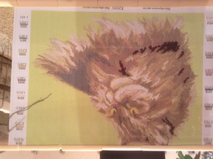 Котик по канве с нанесенным рисунком №29706