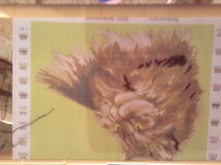 Котик по канве с нанесенным рисунком №29707