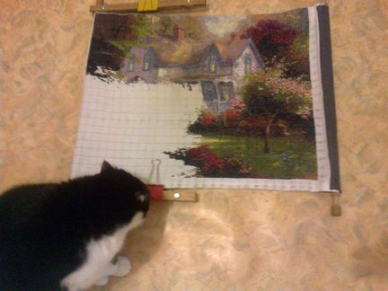 Дом мечты №31315