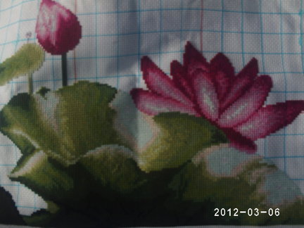 Павлин - китайский набор №35258