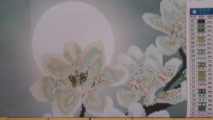 Касатки №35979