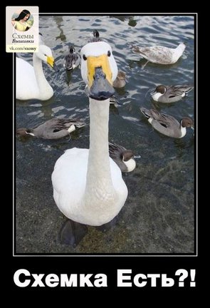 Весёлые картинки №37534