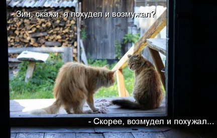 Весёлые картинки №37560