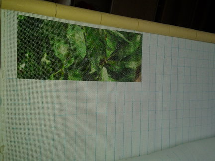 Мамочка №38908