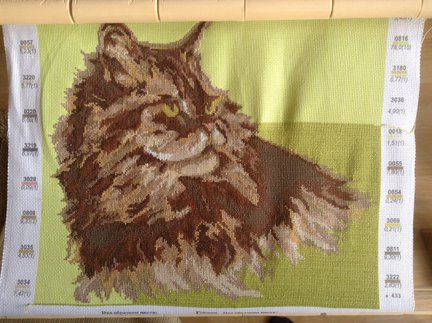 Котик по канве с нанесенным рисунком №41244