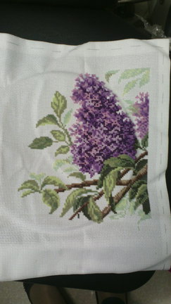 Очарование сирени №41346