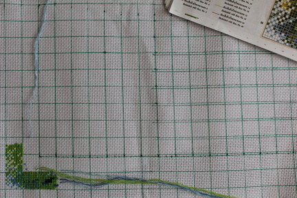 Нашумевшие «9 карпов» №41774