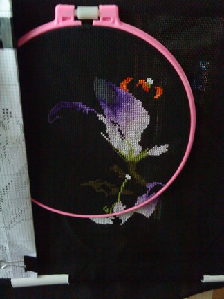 Мой новый процесс «Ночные лилии» №42157