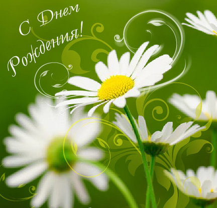 Segodnya u menya den rojdenya! №43212