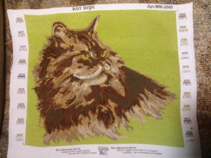 Котик по канве с нанесенным рисунком №43322