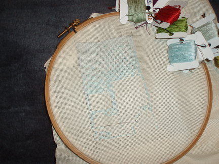 Маки в подарок №43428