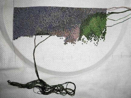 Оранжевые розы №44250