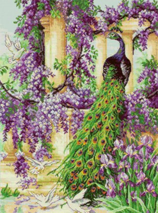 Павлин и голуби в саду №46801