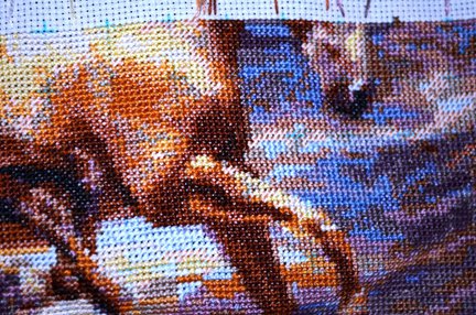 «В лучах заката» от RIOLIS №46916