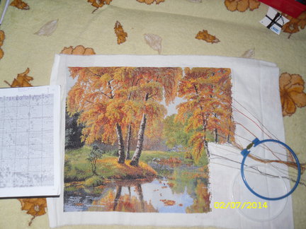 Процесс «Золотая осень» №47817