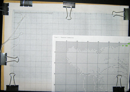Процесс «Кошачьи нежности» №47935