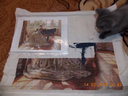 Процесс «Невеста у рояля» №48826