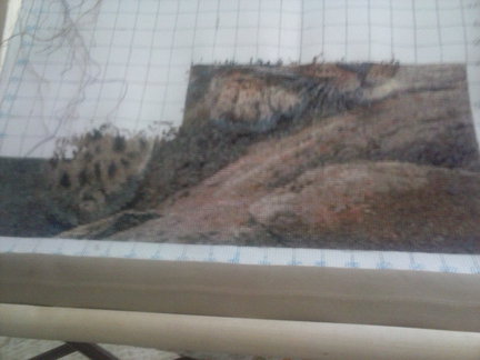 Процесс «Пума - грустный взгляд» №49323