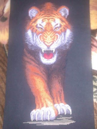 Фирма «Золотое Руно» №50364