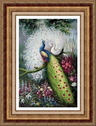 Помогите найти схему павлинов №51592