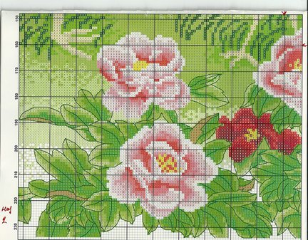 Павлины №51721