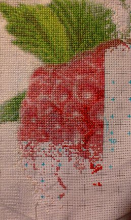 Малина №52537