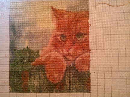 Мой рыжий кот №54057