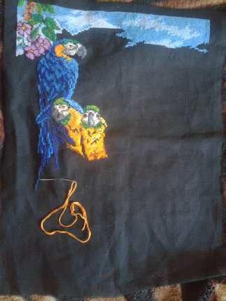 Попугаи на ветке и водопад. Заразилась вышить, процесс пошел. №54297