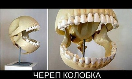 Весёлые картинки №55165