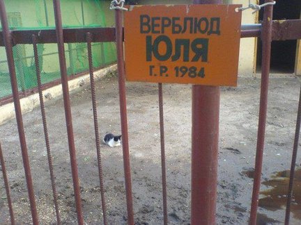 Весёлые картинки №55177