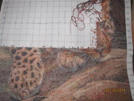 Процесс «Пума - грустный взгляд» №56135