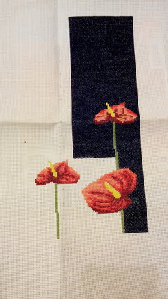 Анториум на чёрном №56158