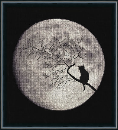 Моя «Лунная соната» №57088