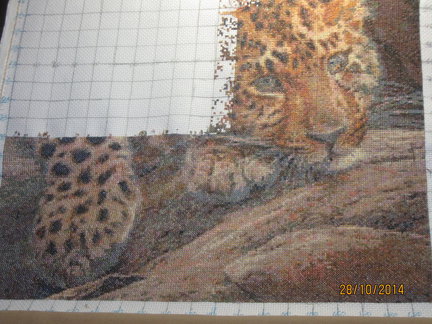 Процесс «Пума - грустный взгляд» №58535