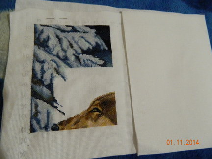 Волчий взгляд №59136