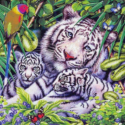 Какой предпросмотр лучше? №59588