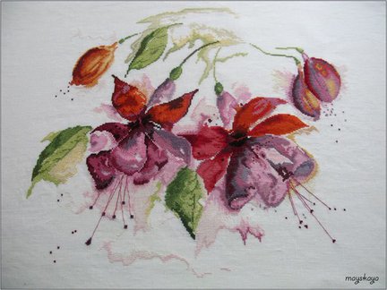 Фуксии в акварели в процессе №60192