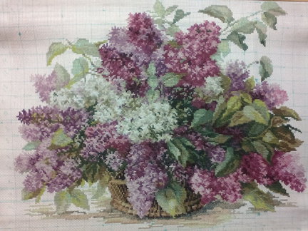 Сирень «Алиса» (в процессе) №60223