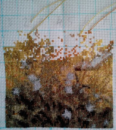 Прогулка №60925