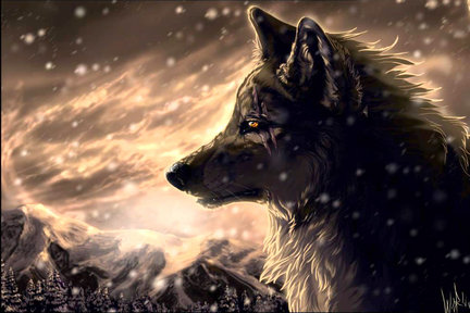 Волк или собака №60984