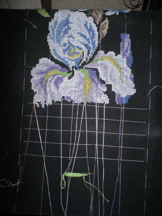 Ирисы. Панельки Риолис. №61418