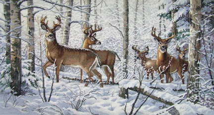 Ищу подбор ниток №62400