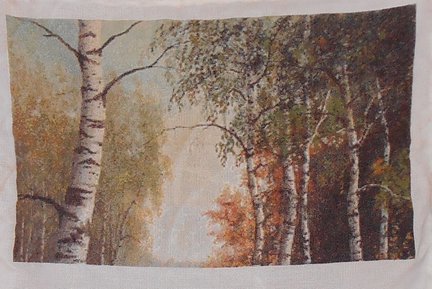 Березовая роща №64992