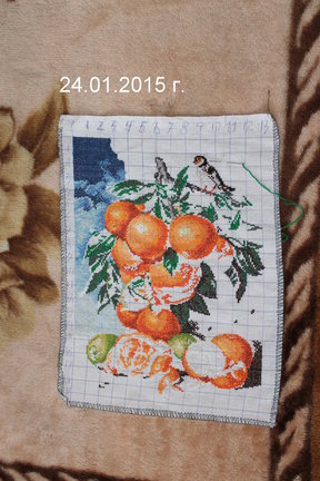 Натюрморт с апельсинами №66104